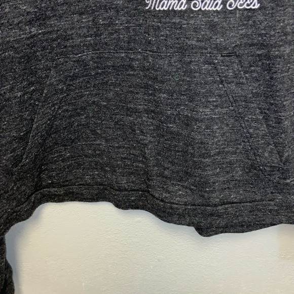 Alternative Earth Size Large Gray Kind is the New Cool Hoodie: 3034 - Picture 3 of 7